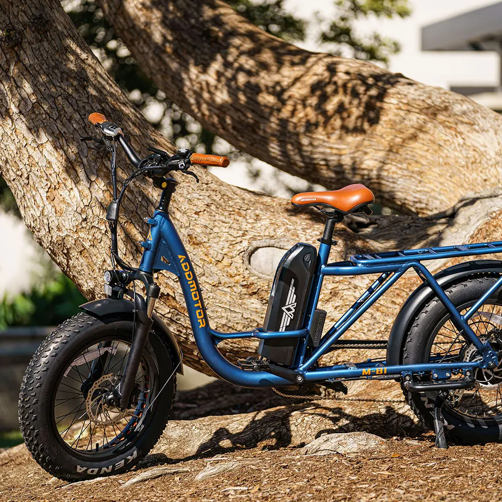 Cargo Ebike Comparison: Addmotor M-81 vs. Yuba Kombi E5