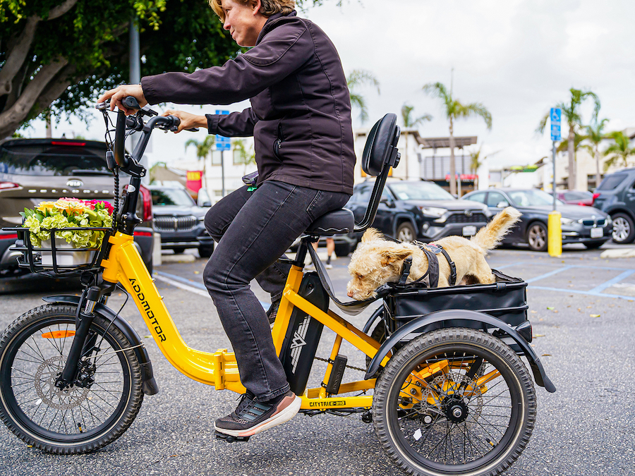 folding electric trike for seniors